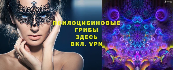 a pvp Абаза