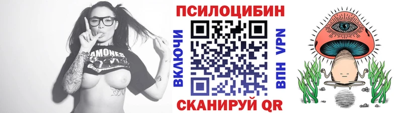 Галлюциногенные грибы Psilocybine cubensis где купить наркоту Болохово